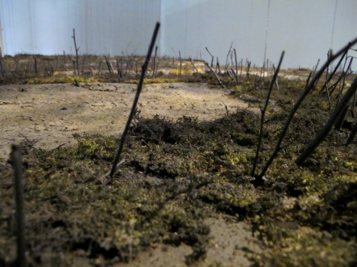 UnNatural History II