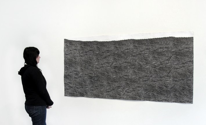 Burnt Swamp: Forest Fire (Florida Everglades)