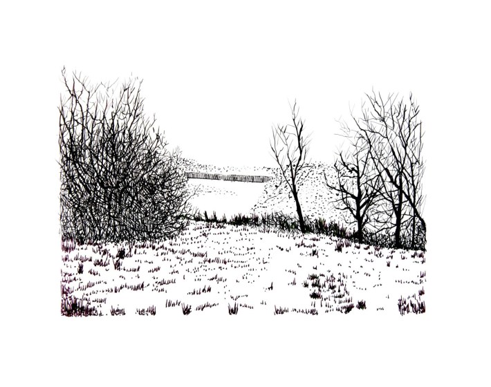 U.S./Mexico Border No. 2