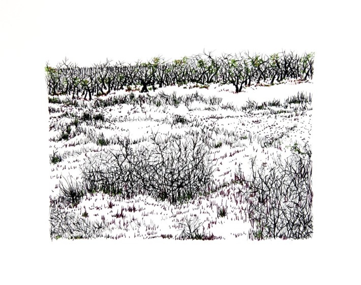 U.S./Mexico Border No. 4