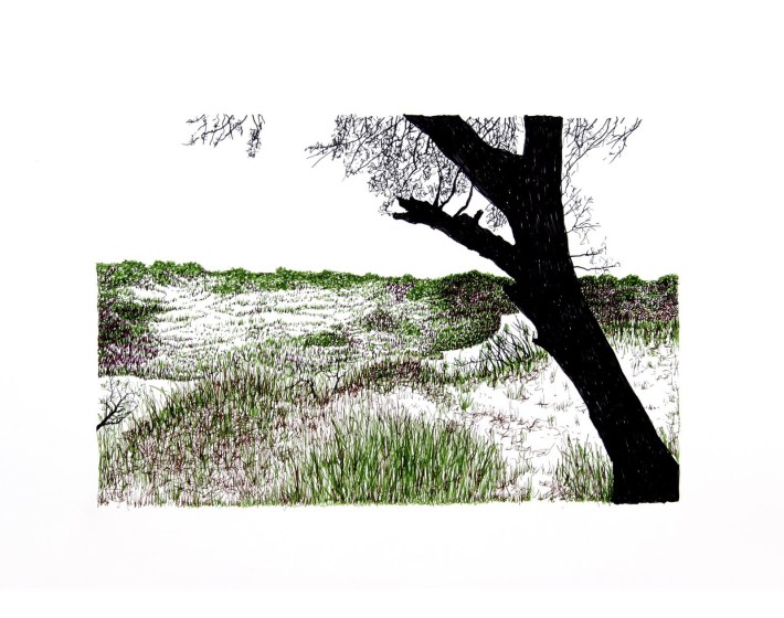 U.S./Mexico Border No. 5