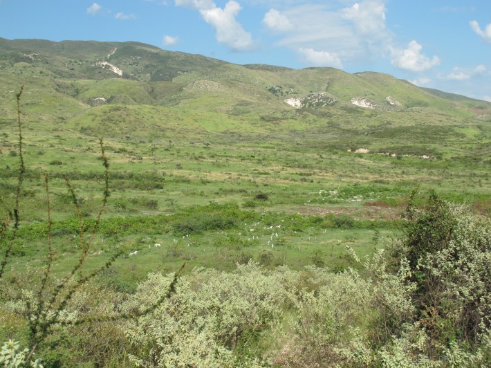 Haiti/Dominican Republic, 2010