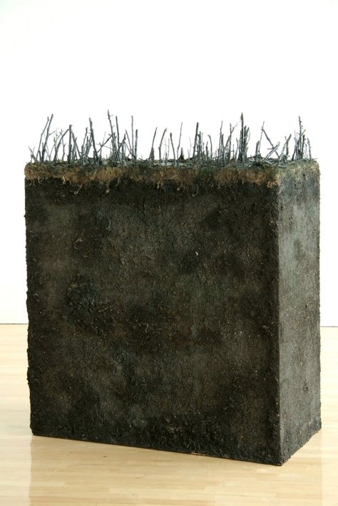 Landscape Section: Swamp