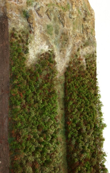 Landscape Section: Border: U.S./Canada