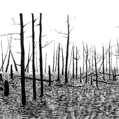 Swamp/Marsh Landscape