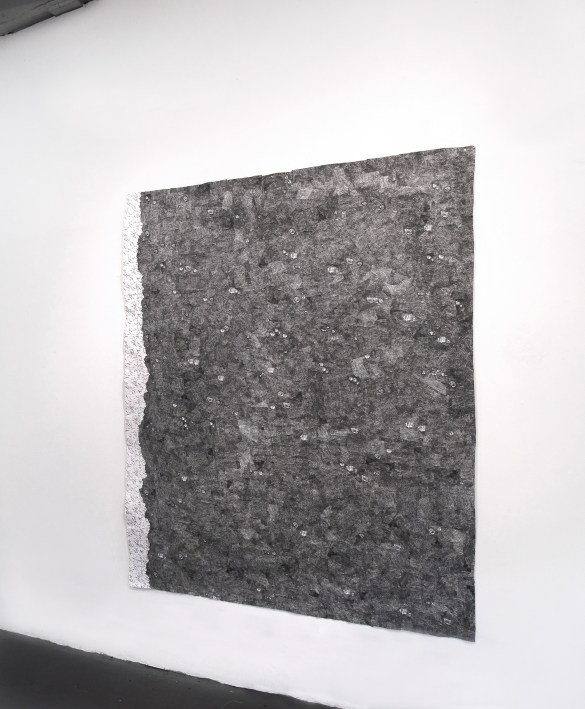 Tree Line: Haiti/Dominican Republic (Haiti and Dominican Republic Border)