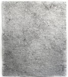 Tree Ruins: Haiti/Dominican Republic (Haitian Charcoal Field)