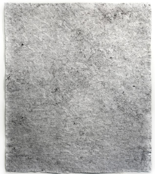 Tree Ruins: Haiti/Dominican Republic (Haitian Charcoal Field)