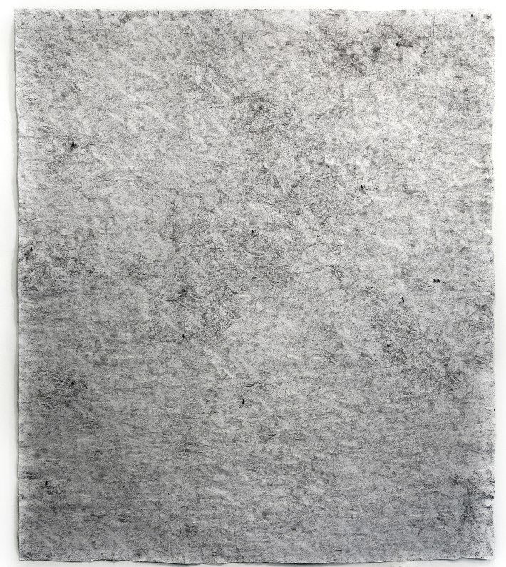 Tree Ruins: Haiti/Dominican Republic (Haitian Charcoal Field)