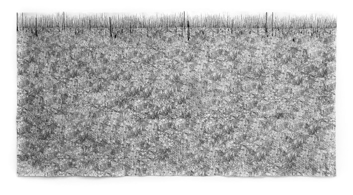 Charred Swamp: Forest Fire (Florida Everglades)