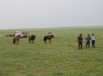 MONGOLIA 360° 2nd Land Art Biennial