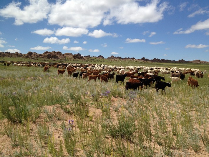 MONGOLIA 360° 2nd Land Art Biennial