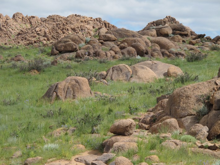 MONGOLIA 360° 2nd Land Art Biennial