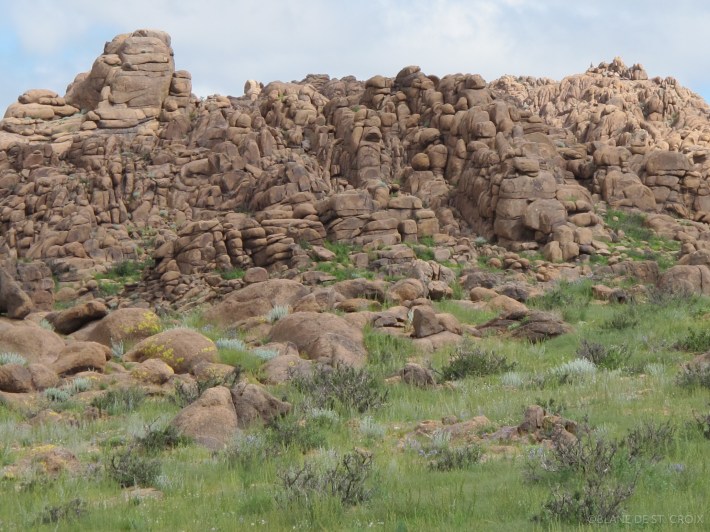 MONGOLIA 360° 2nd Land Art Biennial