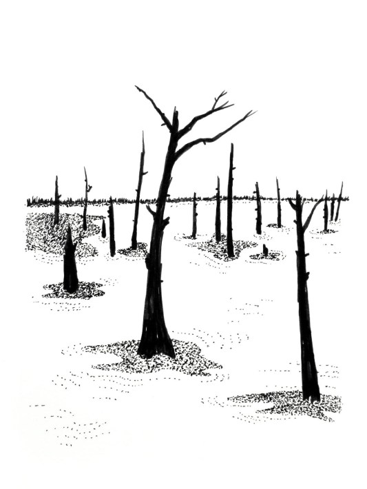 Swamp/Marsh Landscape No. 5