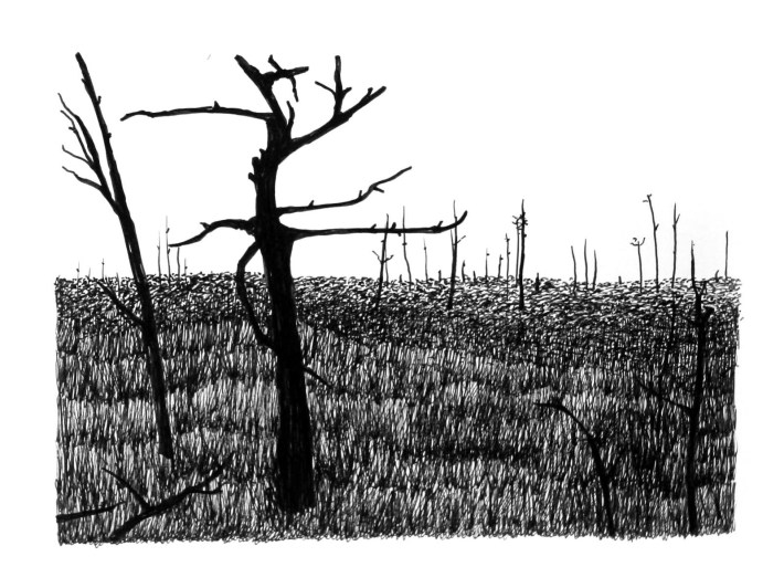 Swamp/Marsh Landscape No. 7