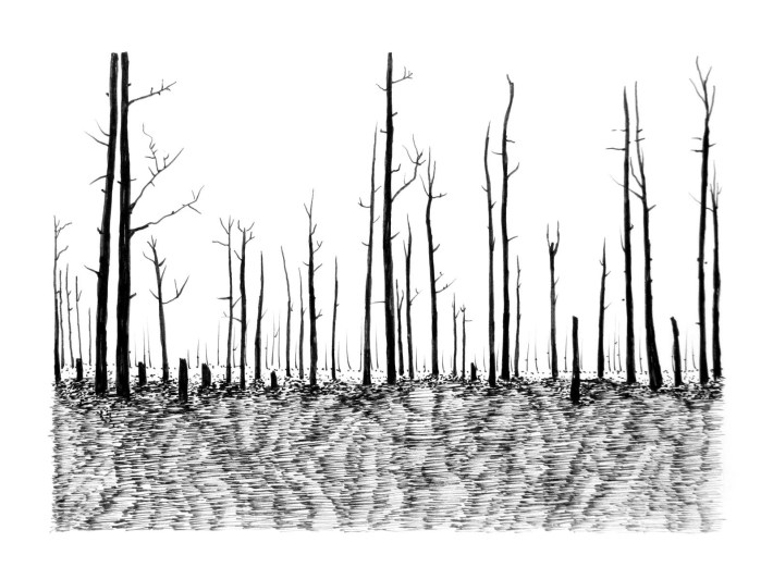 Swamp/Marsh Landscape No. 8
