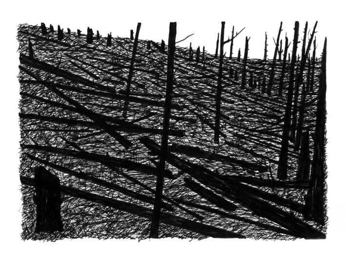 Swamp/Marsh Landscape No. 9