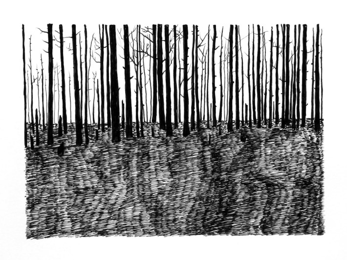 Swamp/Marsh Landscape No. 12