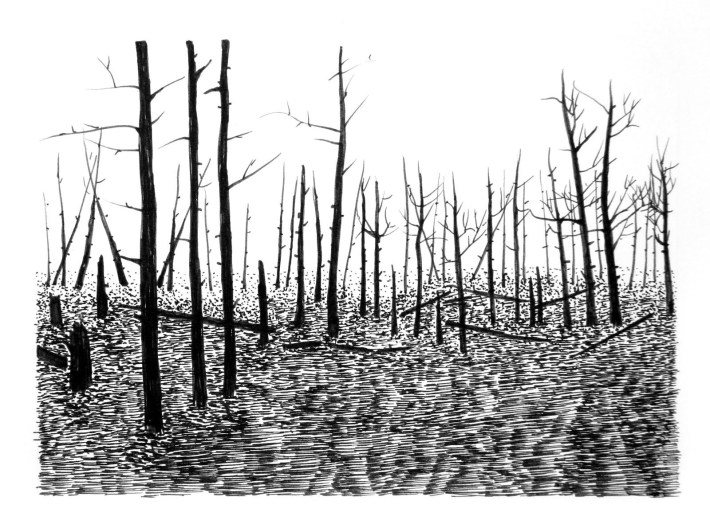 Swamp/Marsh Landscape No. 13
