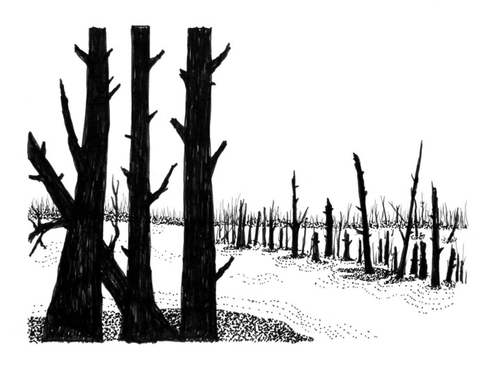 Swamp/Marsh Landscape No. 14