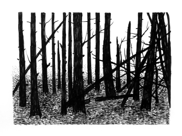 Swamp/Marsh Landscape No. 15