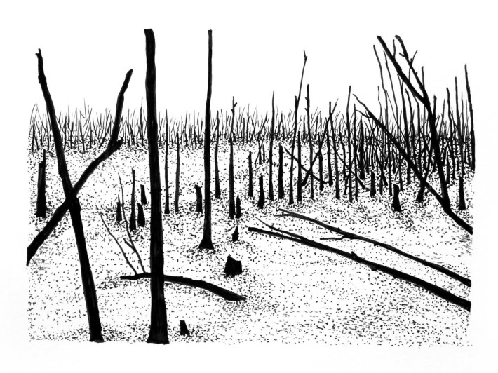 Swamp/Marsh Landscape No. 17