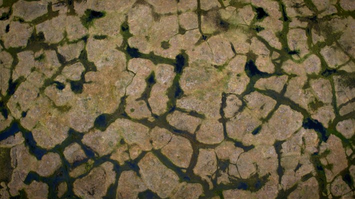 Coastline falling into Arctic Ocean, North Western, Teshekpuk, AK, II Photo scientist Ben Jones