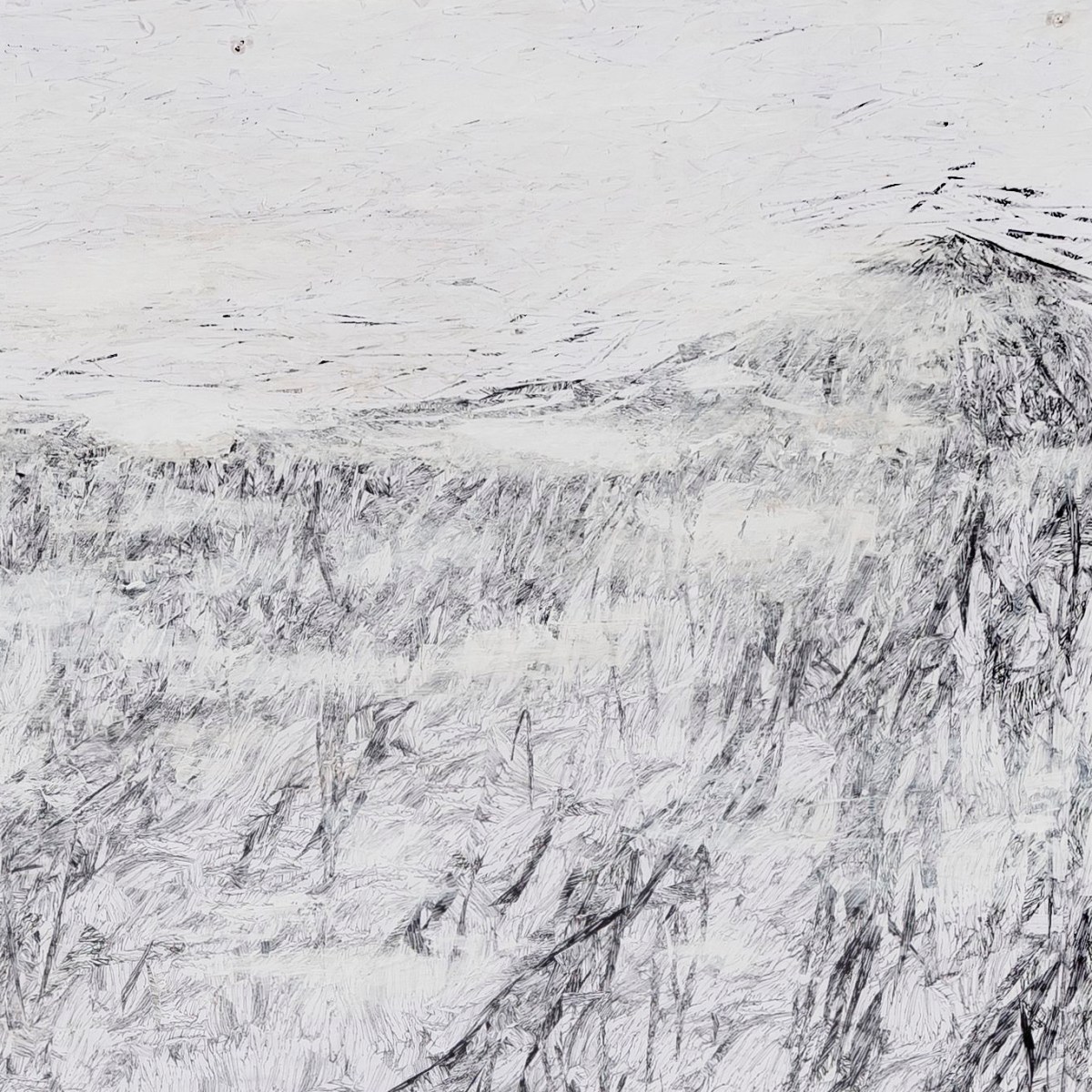 Arctic Landscapes: Arctic&nbsp;Shoreline