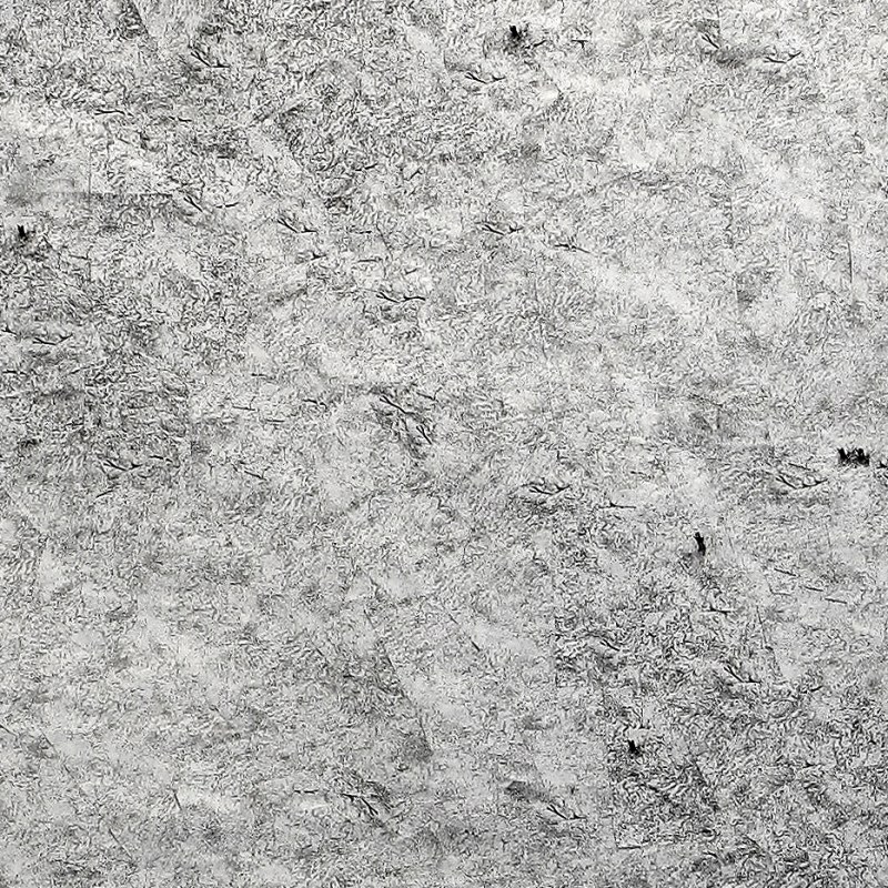 Tree Ruins: Haiti/Dominican Republic (Haitian Charcoal&nbsp;Field)